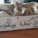 Da padaju sikire, da padaju cipanjice, druga večer Eko etno Gacke će se održati!