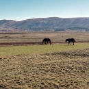 1 : 6 u korist prometnih nesreća