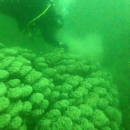 Čistili jezero Kozjak i Donja jezera
