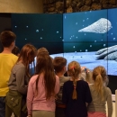 Istraživači Velebita – rano znanstveno (STEM) obrazovanje za zanimanja 21. stoljeća