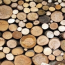 Hoće li mediji ishoditi otkaz učiteljici?