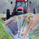 Započinju isplate potpora u poljoprivredi