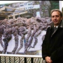 Austrijski Der Standard o Bleiburgu: Bio je to masakr koji se dogodio bez ikakvog sudskog postupka