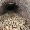 Je li i Đilas "revidirao" sjajnu povijest?