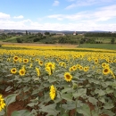 Je li vrijeme da krenemo s projektom ‘Hrvatska zeleno-plava transverzala’?