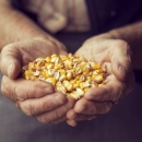 Poljoprivrednici: Oduzimaju nam pravo na vlastito uzgajanje sjemena