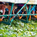 Isplata prve rate potpora kreće 17. veljače 