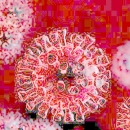 Građevinski radnik ima koronavirus