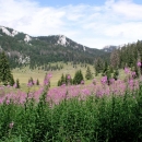 Edukativni nagradni kviz NP S. Velebit