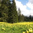 Rezultati rođendanskoga kviza NP Sjeverni Velebit