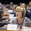 Ruža uspjela - EK odustala od kvota za malu plavu ribu