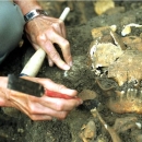 Komunistički zločini - otkrivena masovna grobnica na području Kočevskog roga