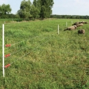 Rastu prometne nesreće