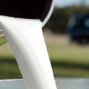 Županija će sufinancirati troškove prijevoza mlijeka malih proizvođača