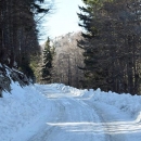 Uvjeti na cesti od ulaza Babić Siča i stanje u NP Sjeverni Velebit