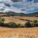 Produženje roka primarnima poljoprivrednim proizvođačima za prihvaćanje Odluka u AGRONET-u