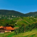 Financiranje programa i projekata udruga koje promiču poljoprivredu i vrijednost ruralnog prostora