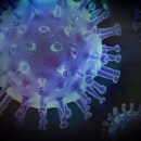 Koronavirusa sve više u Ličko-senjskoj županiji