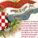 21. veljače - Međunarodni dan materinskoga jezika
