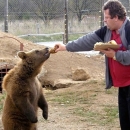 Macola pobijedio Društvo prijatelja životinja i neke europarlamentarce, dobio je dozvolu za medvjede