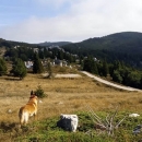 HIGHLANDER Velebit Croatia u potrazi za volonterima