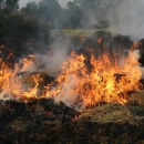 HVZ upozorava na opasnosti spaljivanja suhe trave i korova