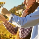 Vučković u Bruxellesu zatražila dodatne potpore za vinare 