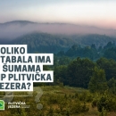 Nagradni natječaj – koliko stabala ima u šumama NP Plitvička jezera?    