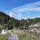 10. tjedan botaničkih vrtova, arboretuma i botaničkih zbirki 