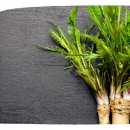 Biofach 2022 – međunarodni sajam ekoproizvoda