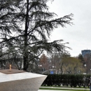 Uvodna riječ i molitva kardinala Bozanića prigodom otkrivanja Spomenika domovini