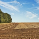 Natječaj za obnovu poljoprivrednog zemljišta i proizvodnog potencijala