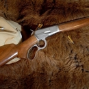 Ukralo i lovačku pušku