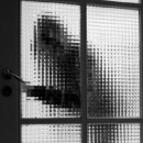 Osumnjičen za 28 kaznenih djela na području Policijskih uprava ličko-senjske i primorsko-goranske