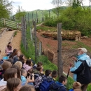 Turističke grupe vole svibanj u Gackoj