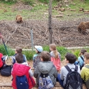 Turističke grupe vole svibanj u Gackoj