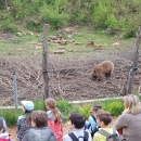 Turističke grupe vole svibanj u Gackoj