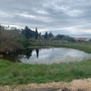 Lokva u Škuncinim stanima