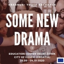 Počinje još jedna razmjena mladih u Velikom Žitniku! – “Some New Drama”