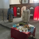 Protonamjesnik Slađan Nikić preuzeo upravljanje SPC u Brinju 