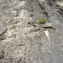 AK Annapura začetnik prvog penjališta u Gackoj 