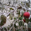 Maglovito i prohladno jutro u Gackoj 