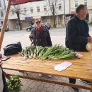 Omiljeni cvijet Ane Rukavine - humanitarna akcija i u Otočcu 