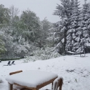 Na Plitvicama pao snijeg 