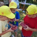 Djeca iz brinjskog vrtića posjetili OPG Rajačić i kušali maline 