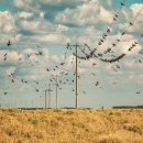 Poznati rezultati foto natječaja „Volim svoju županiju“ 2019. 