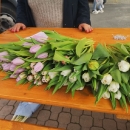 Omiljeni cvijet Ane Rukavine - humanitarna akcija i u Otočcu 