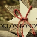 Božićnice - poklon bon umirovljenicima slabijeg imovinskog statusa