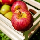 Pravilnik o dodjeli 20 milijuna kuna potpore proizvođačima jabuka u e-savjetovanju