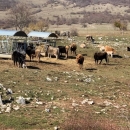 Ministrica Vučković u radnom posjetu Ličko-senjskoj županiji